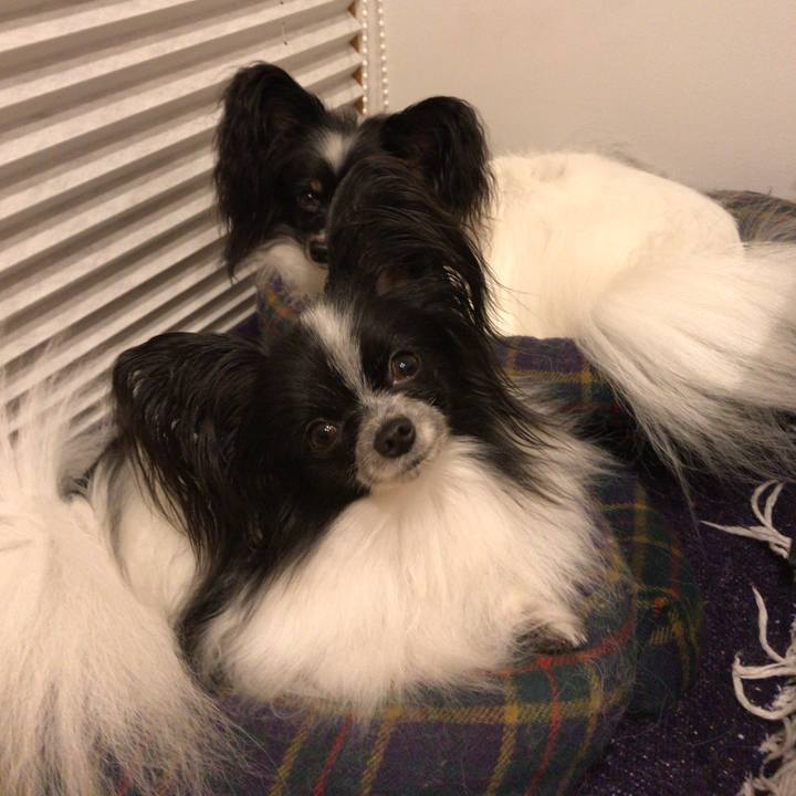 56d83256 8a78 41a4 b721 56b5a927b187 1537456736313