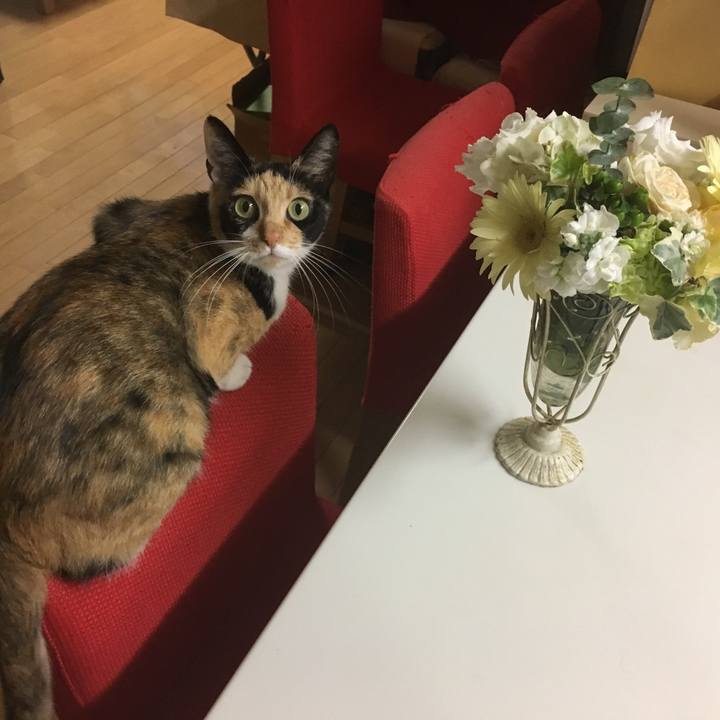 56d834ba 8d4e 42c4 9d74 2cb7399b313c 1509535368824