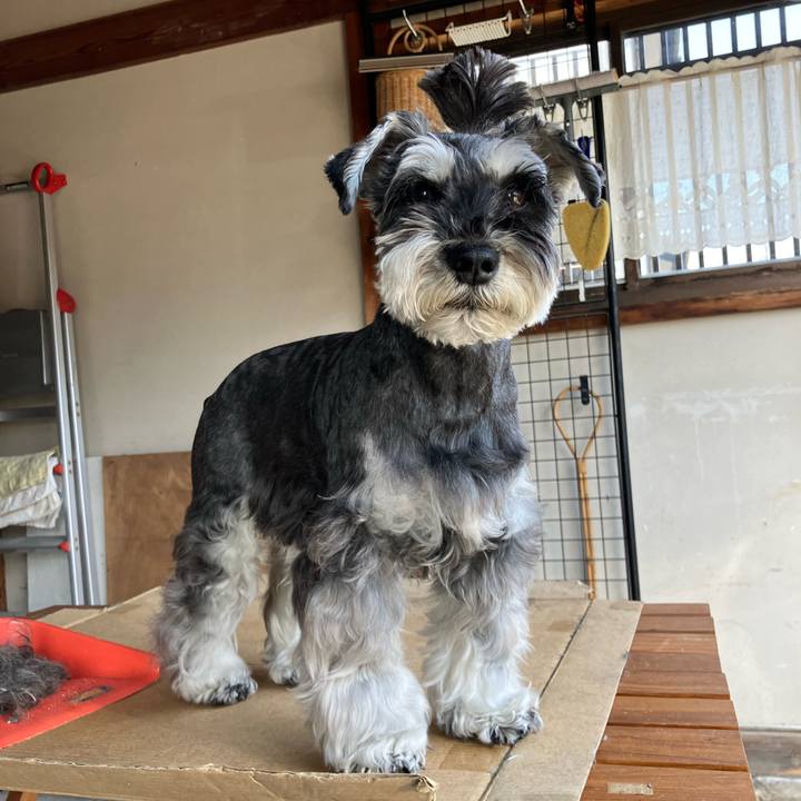 56d83807 6673 44c0 b09f 386252088582 1713012235893