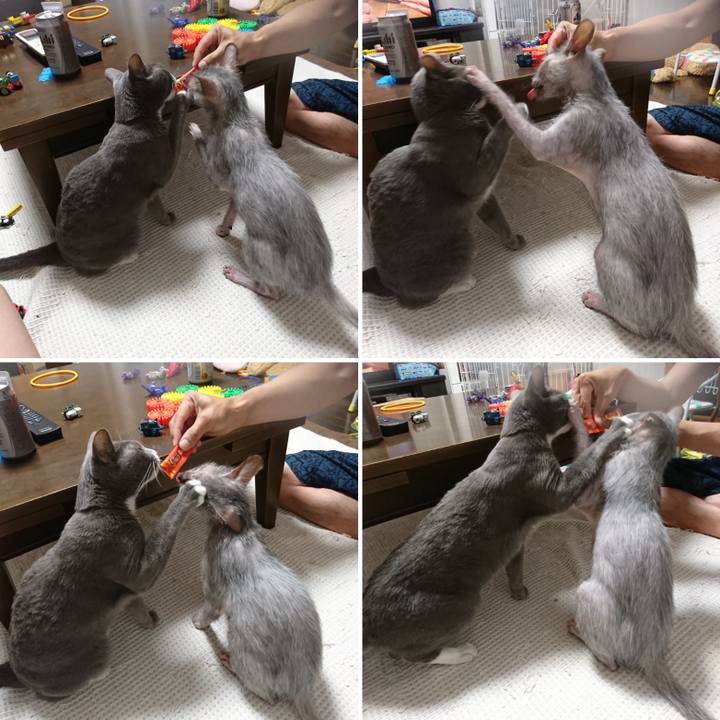 56d84376 feb7 44dc 8989 03c41b940474 1533187556192