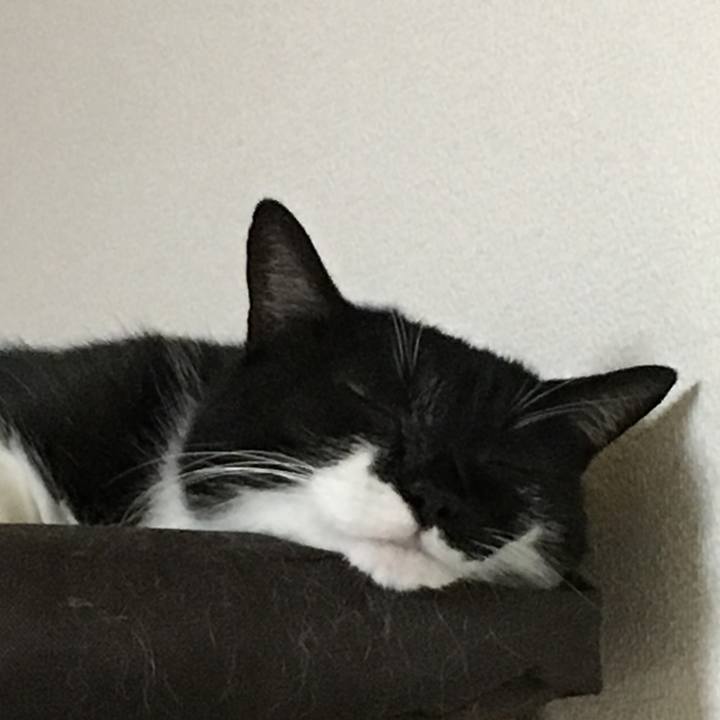 56d87e68 b8ed 424e a964 bfdfa4b0db61 1533119220593