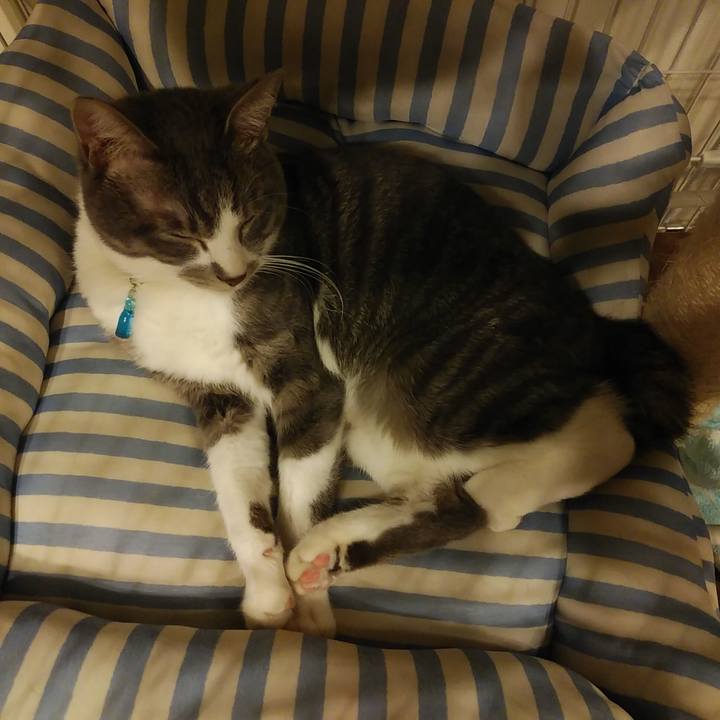 56d8becb 1df4 4e1a 998c ab620a849389 1586877087875