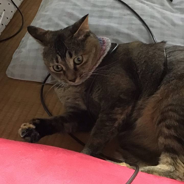 56d8fe1e 5ac6 4c45 9642 39566b744a0a 1625473091460