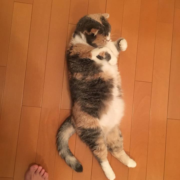 56d92bba 446c 4c82 9389 ee6490fe17cc 1548757932891