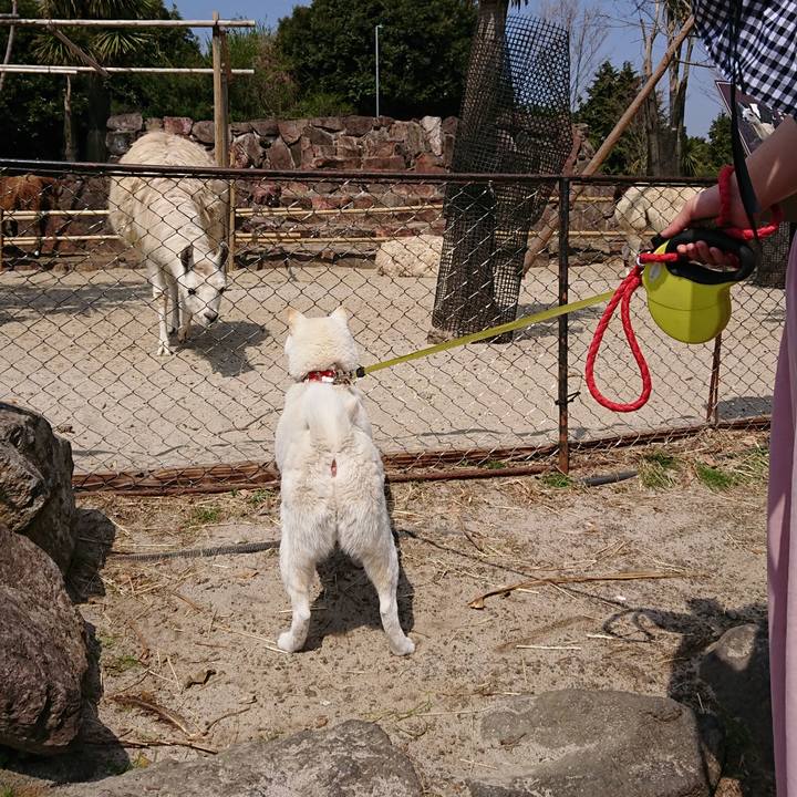 56d92d57 ac87 45b9 9651 68ed4d054b09 1522287727634