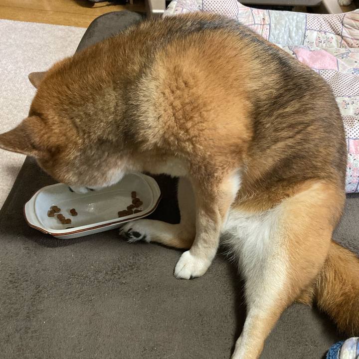 56d95d8c c037 4545 9b6d 63a3037b0f97 1712447021561