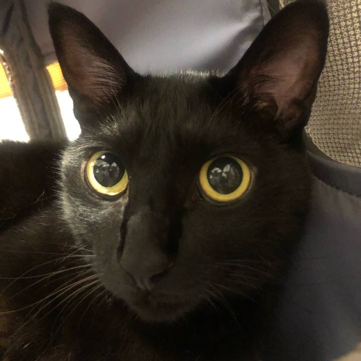 56d96755 d316 44f8 8ec0 b94a4cbca1b5 1662027650124