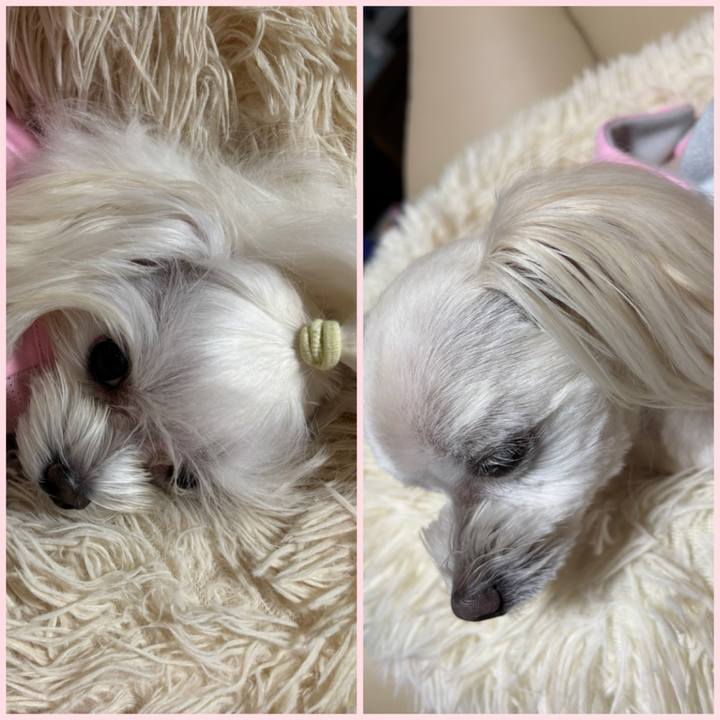 56d9ae78 10ec 4291 9533 718d990f5b7e 1761391225380