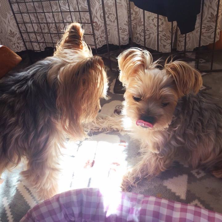 56d9c9bb ce1d 46cf b6fd 6b838f1b101a 1529968111819