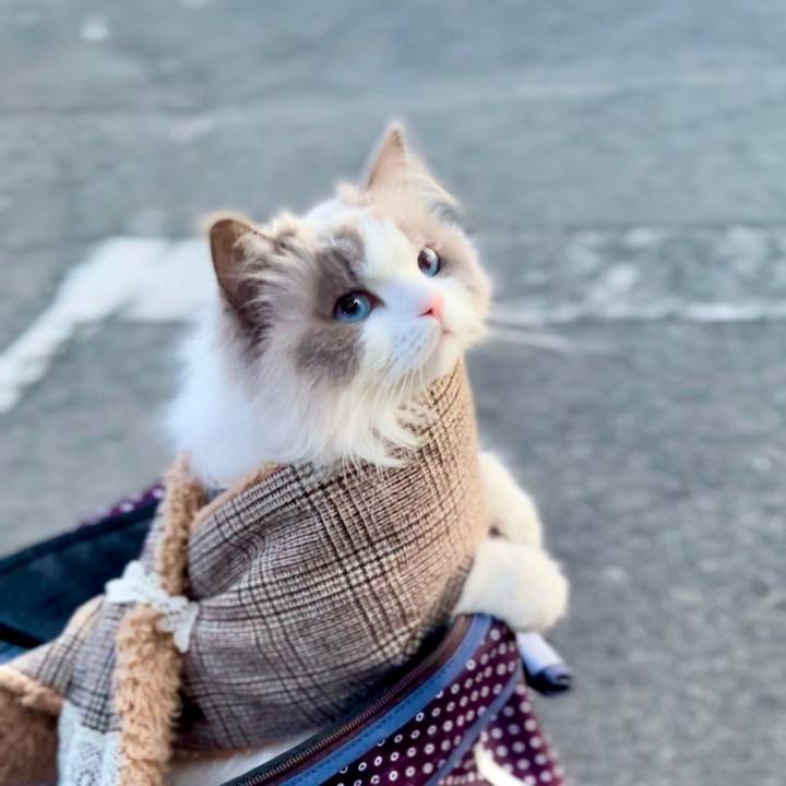 56d9dbc3 b53a 4806 9f5b 67ac6c5a19c8 1646911188450