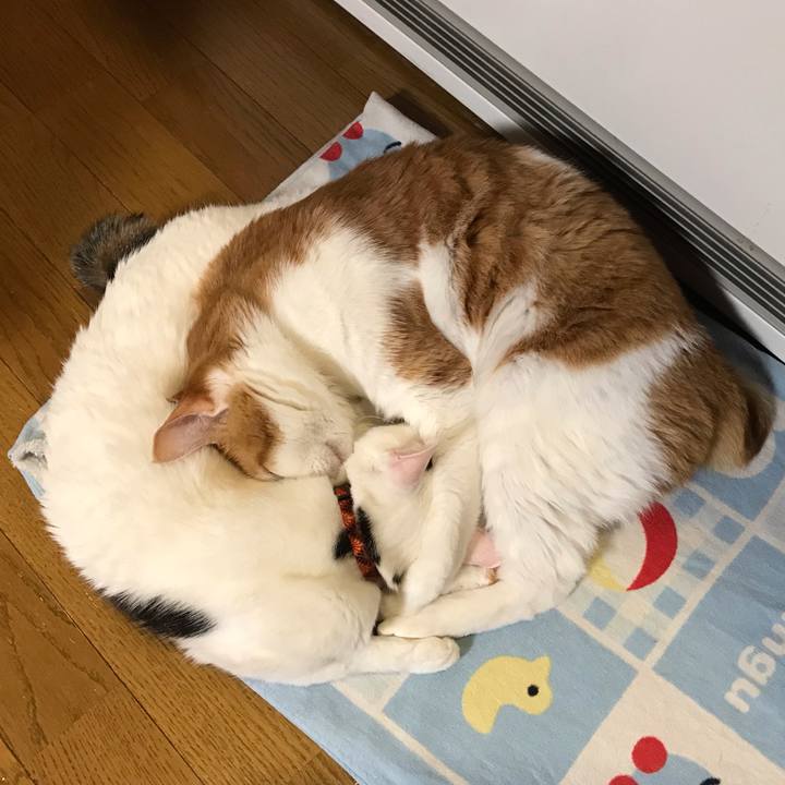 56da4146 0e1b 47ef 82eb d5c4da2ffd6e 1616317601721