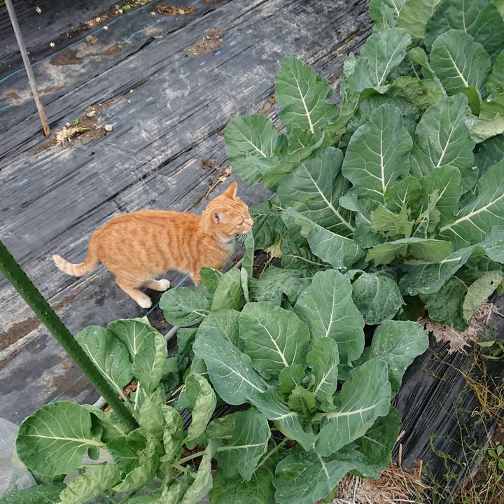 56daa20b eb64 407b 9aec ac171c569136 1571025978198