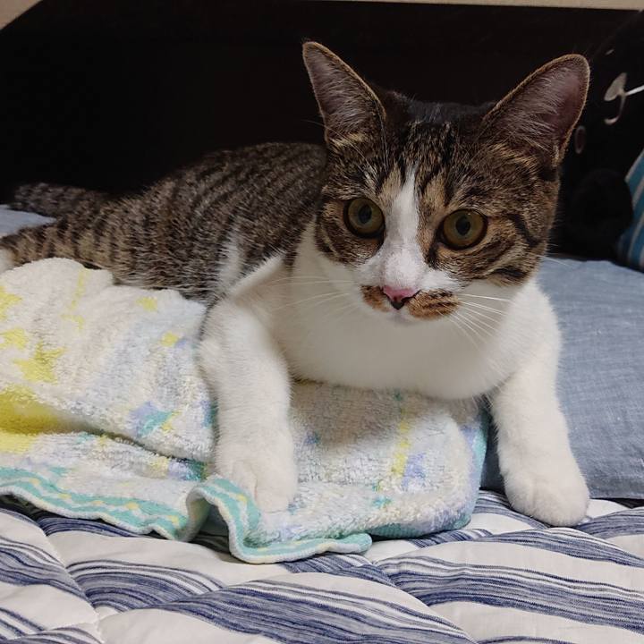 56daafd4 0137 4fc6 ba2b ec184115569d 1565308634946