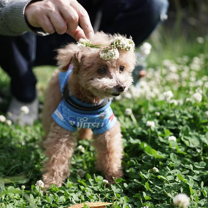 56dad5ae c294 4951 952a c8449a10f69b 1697253486532