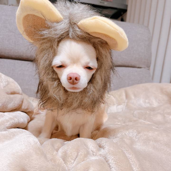 56dadd8e 2b68 48f5 a504 d7b88a1088da 1662533671801