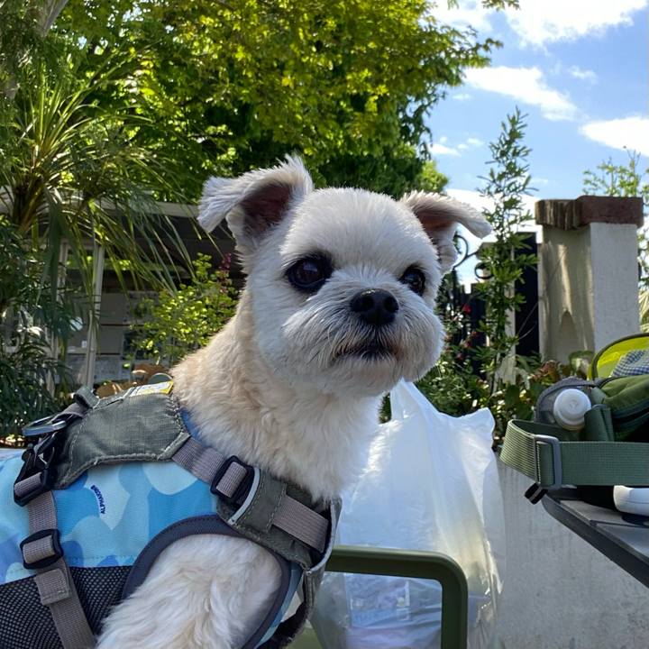 56daf256 f8d5 4c2e bc70 063a3f26c52f 1651302048715