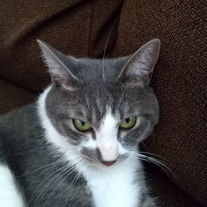 56db06ef 672d 43eb 974d 502bdbef7142 1597984209037