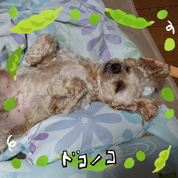 56db1fc2 2a25 4ab2 b76e d8adf68d8f56 1721133778277