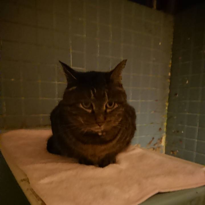 56db5eea 51bd 425c aebd 4d199ab7e49e 1644143502389