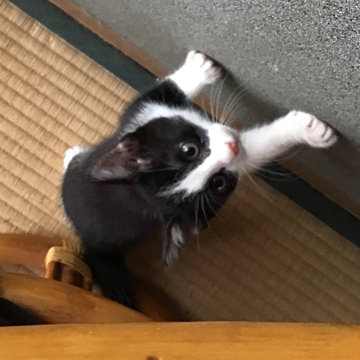 56db6a74 b624 42c7 93da 62e1db4c501d 1624176269691