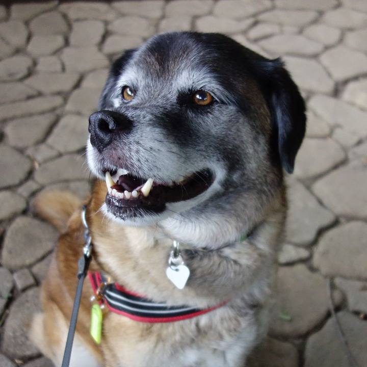 56db9f93 6573 456e be9c 5a397e7d5480 1526865114981