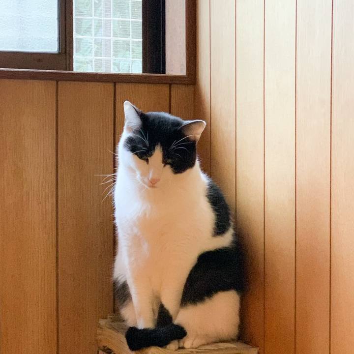 56dbbf8f 5c69 4b14 9ad7 0f9670a6049b 1576376676170