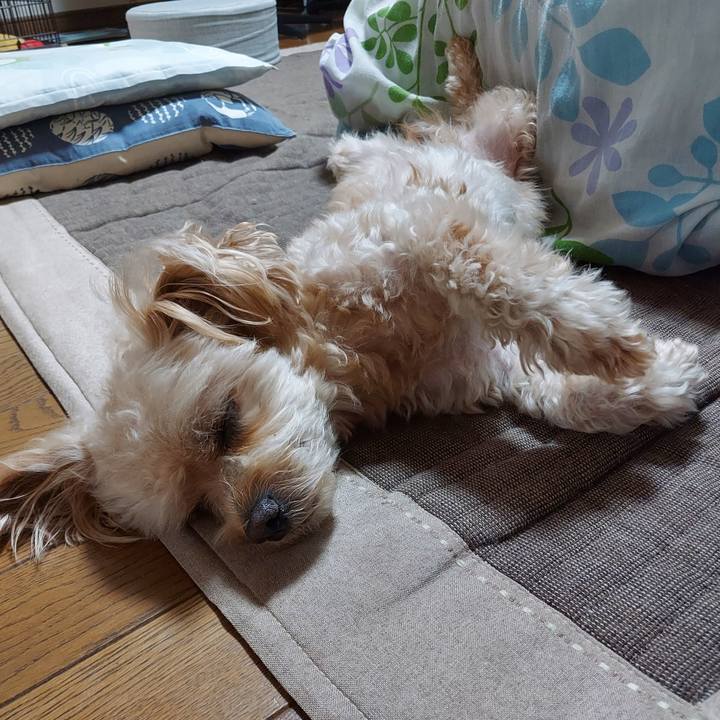 56dbd071 ed19 4685 84ee f3d1ced96ca1 1695346853650