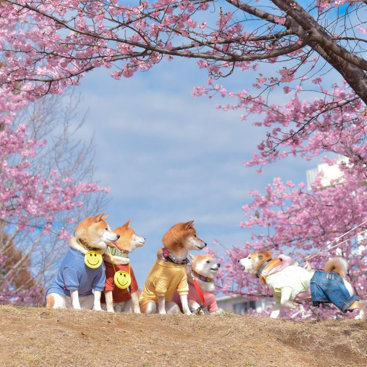 56dbe7c9 082f 4221 a276 f0eab2918e24 1709695287935