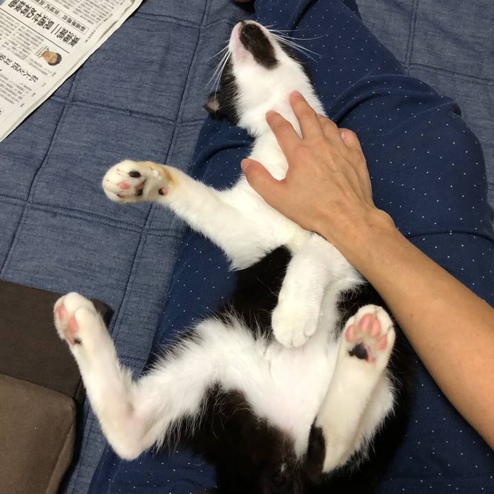 56dbecf5 bed3 499d 9c56 c2898a87c411 1530805273396