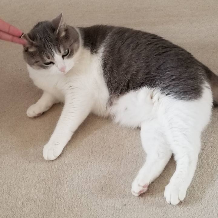 56dc0154 35d8 49ba 8e30 7c6c46b1fe4a 1653178429021