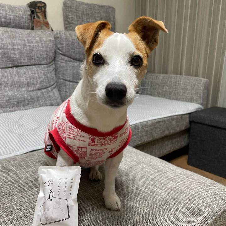 56dc0324 a600 4f1a b974 39ee097d775b 1641300542507