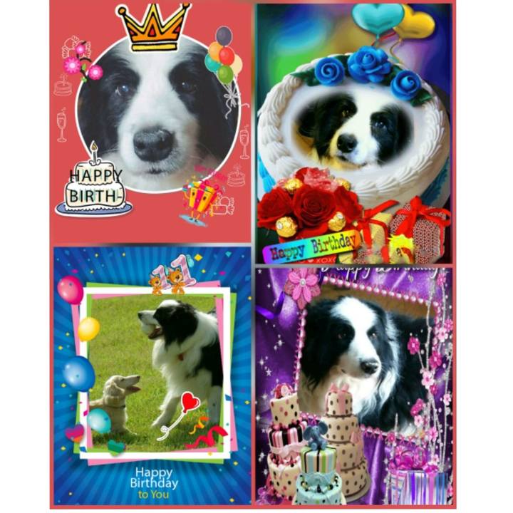 56dc24e4 0cc4 4242 a286 3b034892dc8f 1531974143050