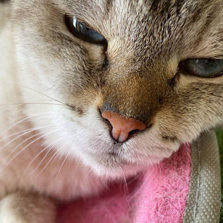 56dc7d9f 7892 4bca 945e 21783fb14aed 1596591836585