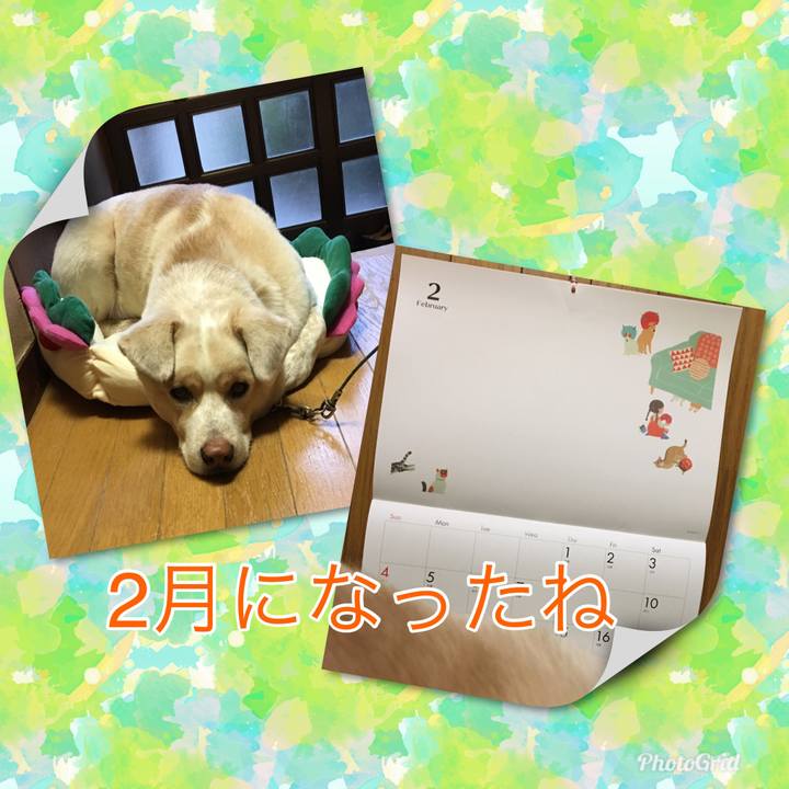 56dcdb37 00ff 4c68 967c caef311b2abd 1517455294956