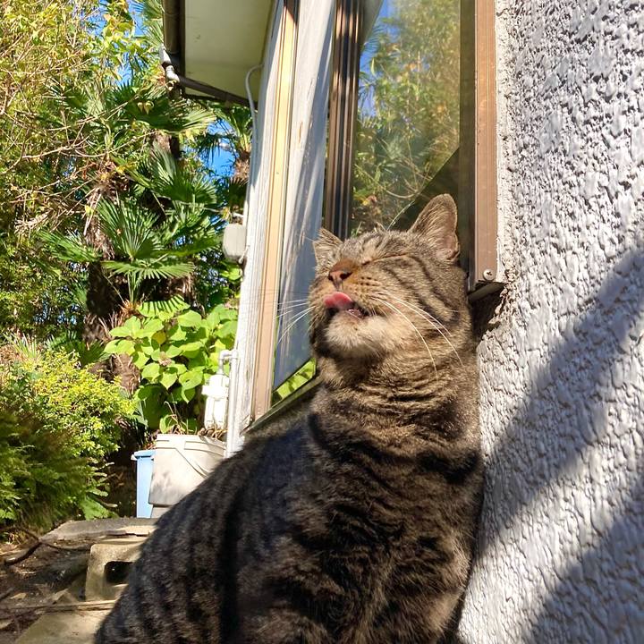 56dcdbc0 792b 4245 9644 3d469827af36 1666918861581