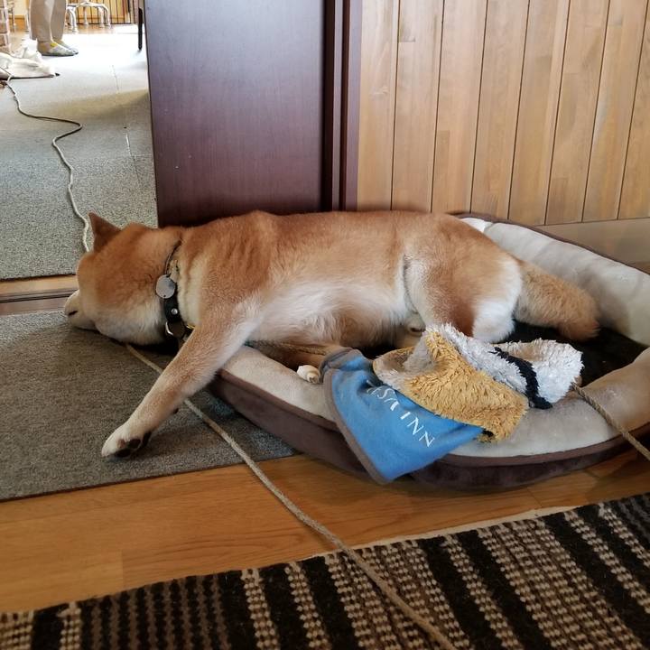 56dce3fd a093 48f1 b028 64fc0c96f362 1621988064570