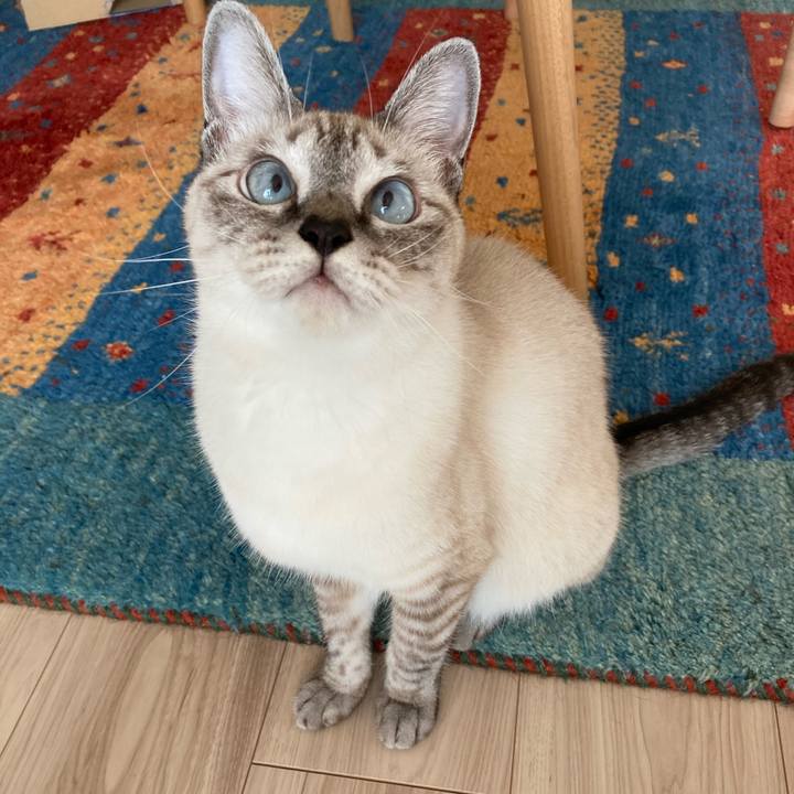 56dcf219 b272 4692 81bf 11029ccbd0de 1601680970242