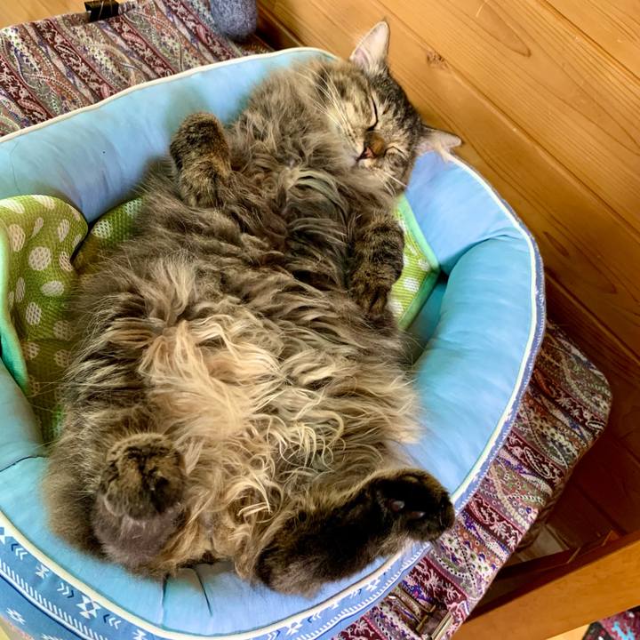 56dcf254 89d8 4cef 9f76 b93830e76ae2 1662684151274