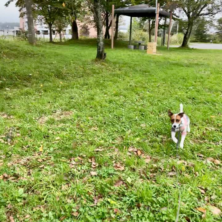 56dcfb0b 375c 45e1 8ba7 ffabb25e7a1b 1634111013022