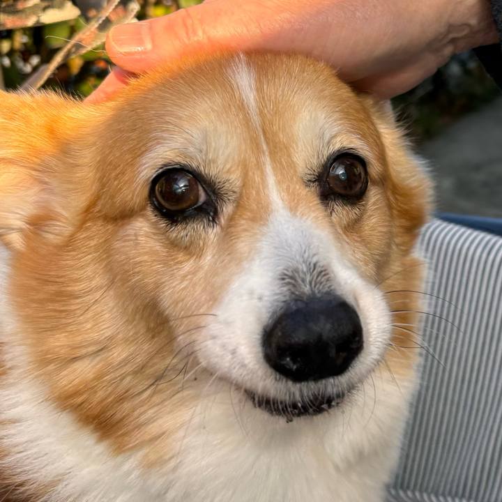 56dd6b8d a501 47e9 beeb 854dae78fd1f 1767230907206