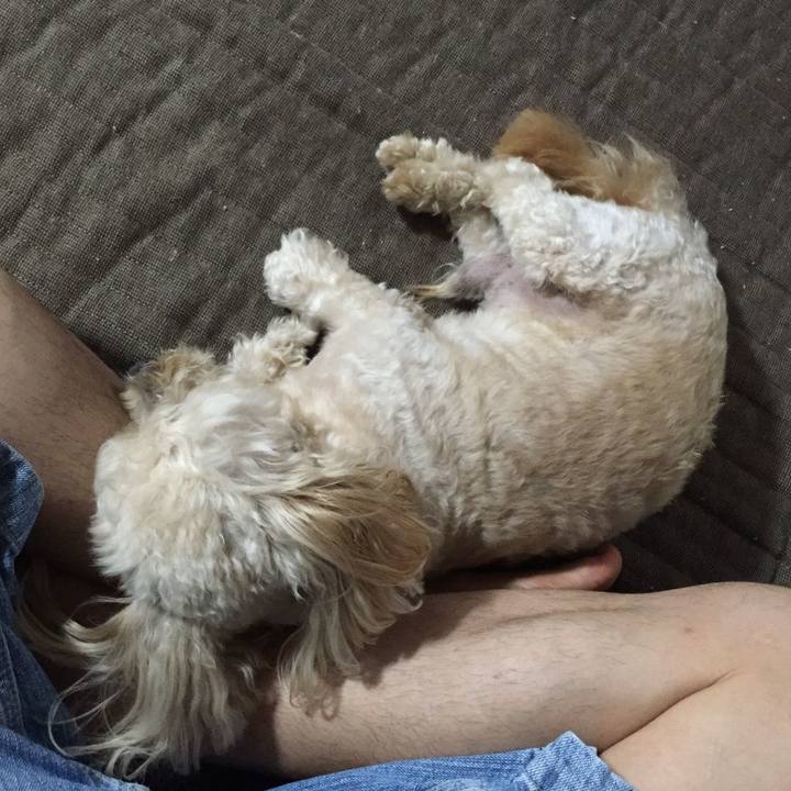 56dd7e81 ac90 4b51 bd3a bef551026e06 1532091158750