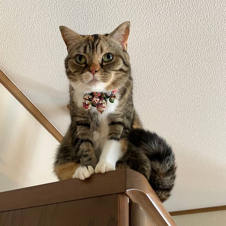 56dd8988 d6a9 41e8 b627 35175df830e0 1766714063424