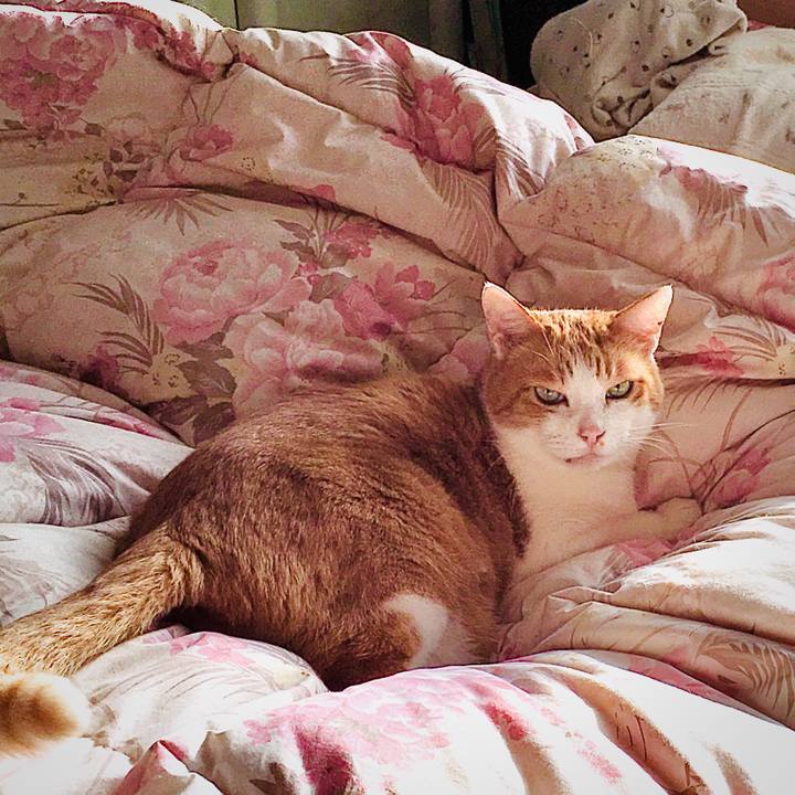 56dda88f 4008 4711 acf2 dce797823312 1576559339172