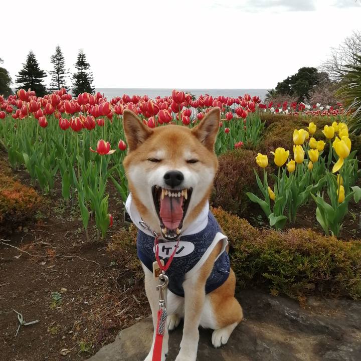 56ddabb9 442e 4d34 a95b ac47e59365c6 1674041766003