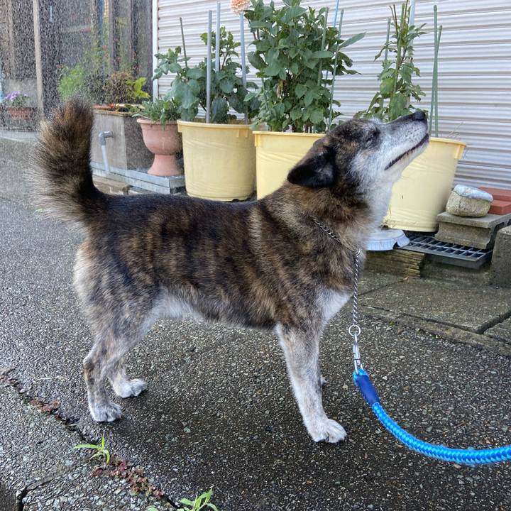 56dddf13 b5d3 4deb 8ea3 f74aab035dcb 1690066557888