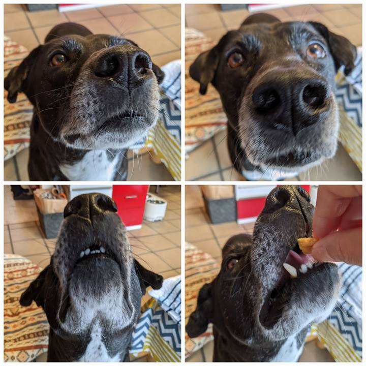 56de04d3 283b 446b a74b 8156e510a825 1709168011715