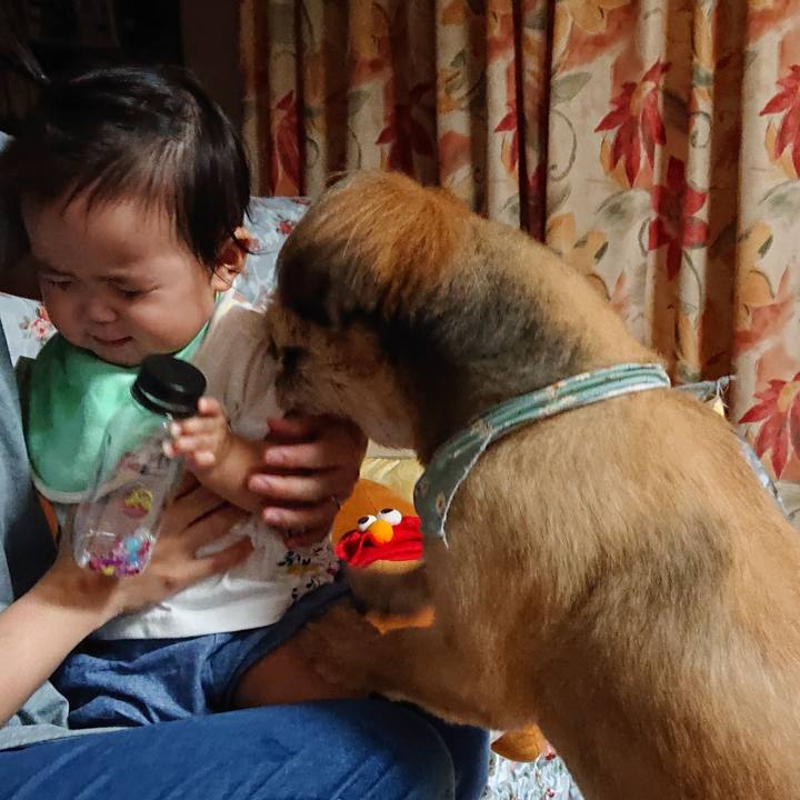 56de0b5e 9289 41ed b037 55c114696d70 1561903266321