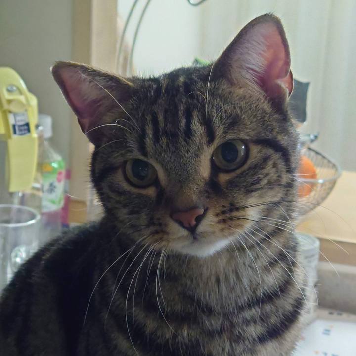 56de2024 e222 4e3f b7dd 9e3dd35349ac 1656761371061