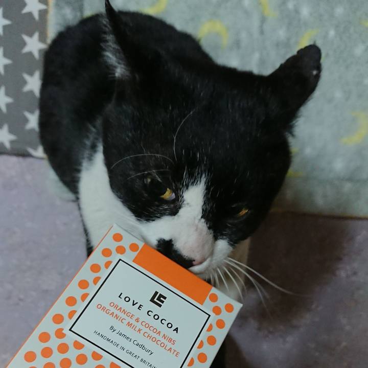 56de834d 8568 4f9a 8bfb 78c259d027b7 1550136346561