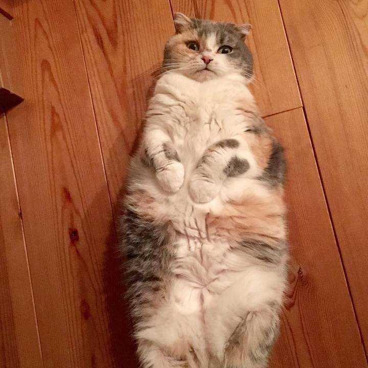 56de88a9 f185 4123 99b0 0b867baf1682 1542713023645